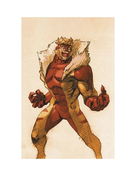 WOLVERINE 467 VS. CAPCOM VARIANT SABRETOOTH - WOLVERINE 12