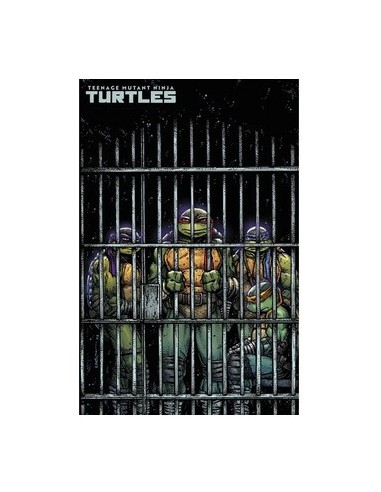 TEENAGE MUTANT NINJA TURTLES (2024) 11 VARIANT...