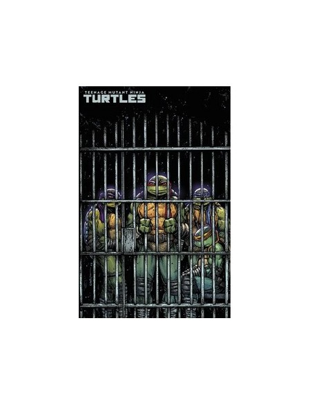 TEENAGE MUTANT NINJA TURTLES (2024) 11 VARIANT DI KEVIN EASTMAN