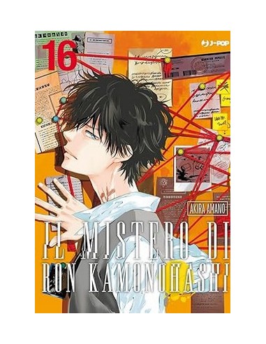 IL MISTERO DI RON KAMONOHASHI 16 (di 19)