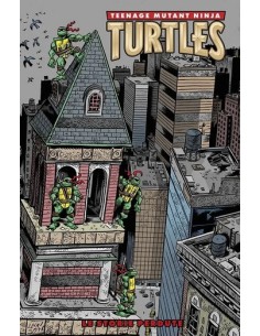 TEENAGE MUTANT NINJA TURTLES: GLI ANNI DELLA MIRAGE