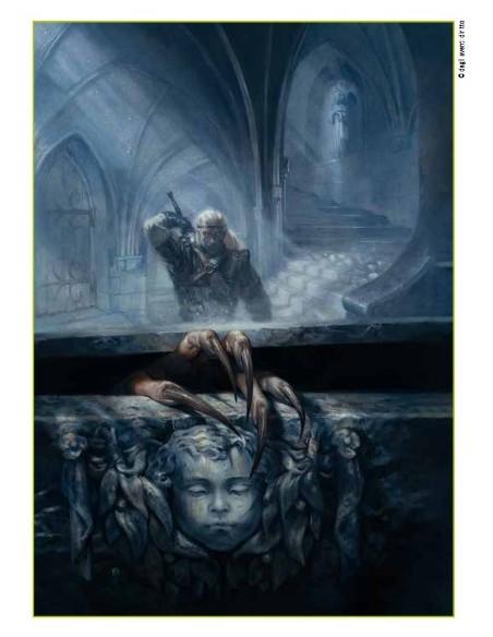 THE WITCHER: IL WITCHER