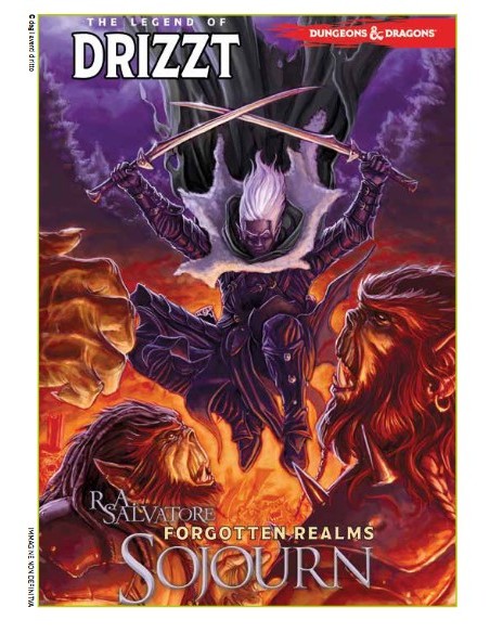 DUNGEONS & DRAGONS - LA LEGGENDA DI DRIZZT VOL. 3 IL MONDO DI SOPRA