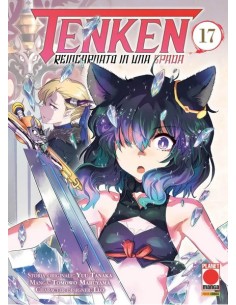 TENKEN REINCARNATO IN UNA SPADA 17