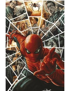 SPIDER-MAN 883 VARIANT DI LEE BERMEJO - AMAZING...