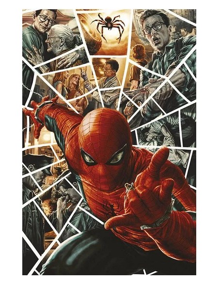 SPIDER-MAN 883 AMAZING VISIONS VARIANT DI LEE BERMEJO - AMAZING SPIDER-MAN 10