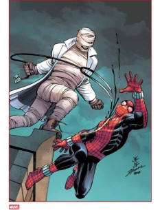 SPIDER-MAN 889 - AMAZING SPIDER-MAN 13