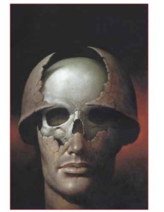 MARVEL MUST-HAVE PUNISHER: BORN