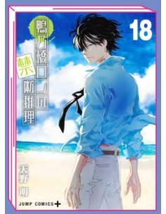 IL MISTERO DI RON KAMONOHASHI 18 (di 19)