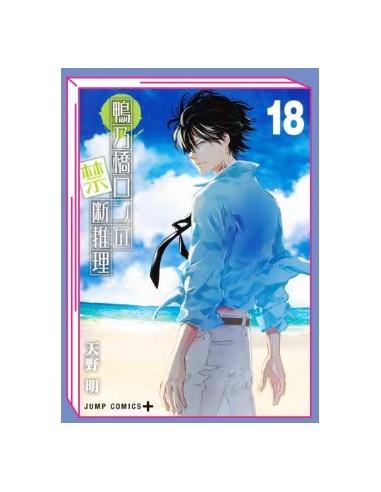 IL MISTERO DI RON KAMONOHASHI 18 (di 19)