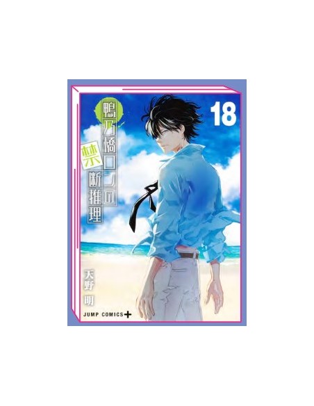 IL MISTERO DI RON KAMONOHASHI 18 (di 19)