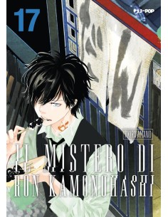 IL MISTERO DI RON KAMONOHASHI 17 (di 19)
