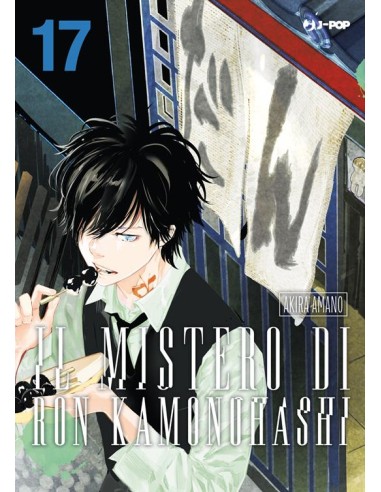 IL MISTERO DI RON KAMONOHASHI 17 (di 19)