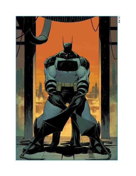 ABSOLUTE BATMAN 1 LO ZOO - DC ABSOLUTE COLLECTION