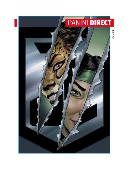 CHEETAH E CHESHIRE: RAPINA ALLA JUSTICE LEAGUE - DC COLLECTION