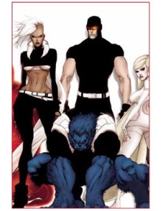 MARVEL MUST-HAVE X-MEN: XENOGENESIS