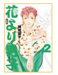 HANA YORI DANGO ULTIMATE DELUXE EDITION 2 (di 20)