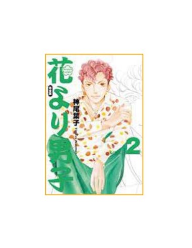 HANA YORI DANGO ULTIMATE DELUXE EDITION 2 (di 20)