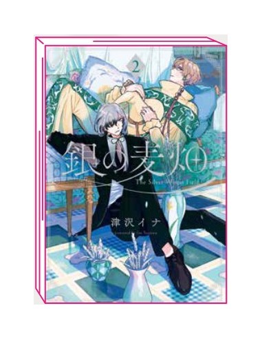 LO STREGONE D`ARGENTO 2 (di 3)