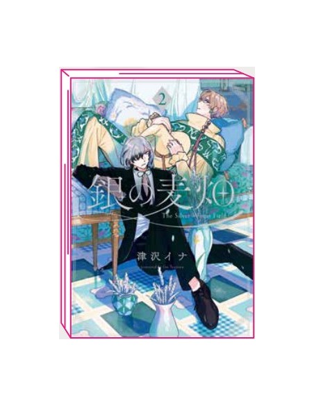 LO STREGONE D`ARGENTO 2 (di 3)