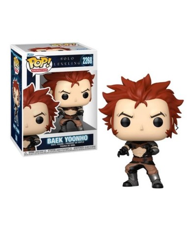 SOLO LEVELING S2 - BAEK YOONHO - POP 2268