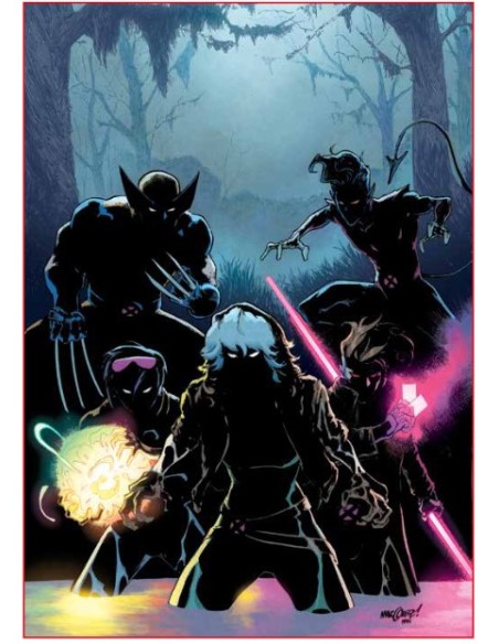 GLI INCREDIBILI X-MEN 438 - X-MEN 17