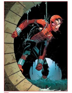 SPIDER-MAN 892 - AMAZING SPIDER-MAN 16