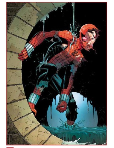 SPIDER-MAN 892 - AMAZING SPIDER-MAN 16