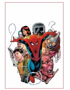 MARVEL MASTERSERIES SPIDER-MAN - BRAND NEW DAY 2 PETER...