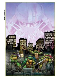 TEENAGE MUTANT NINJA TURTLES ALLA RISCOSSA IL FILM...