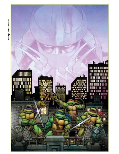 TEENAGE MUTANT NINJA TURTLES ALLA RISCOSSA IL...