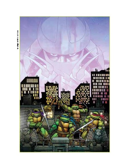 TEENAGE MUTANT NINJA TURTLES ALLA RISCOSSA IL FILM EDIZIONE DEL 35ESIMO ANNIVERSARIO