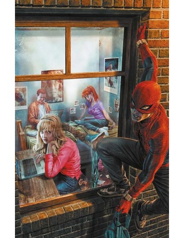 SPIDER-MAN 889 AMAZING VISIONS VARIANT DI LEE...