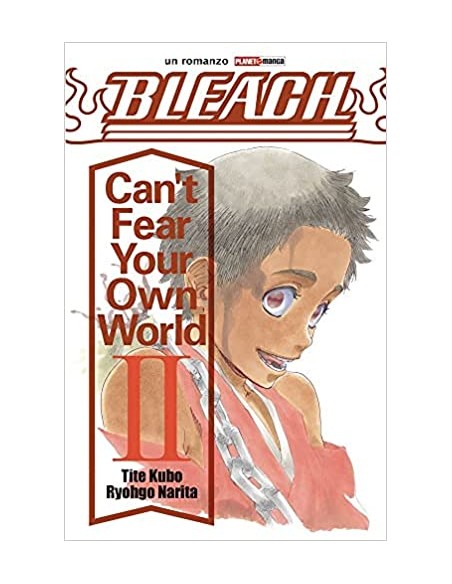 BLEACH CAN`T FEAR YOUR OWN WORLD 2 - ROMANZO