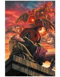 SPIDER-MAN 890 AMAZING VISIONS VARIANT DI LEE BERMEJO...