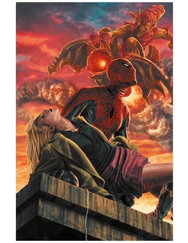 SPIDER-MAN 890 AMAZING VISIONS VARIANT DI LEE...