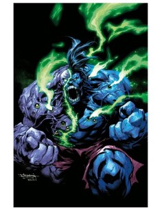 L`INFERNALE HULK 1 VARIANT DI STEPHEN SEGOVIA - HULK & I...