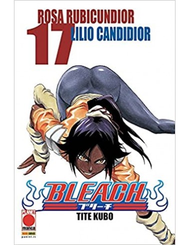 BLEACH QUARTA RISTAMPA 17
