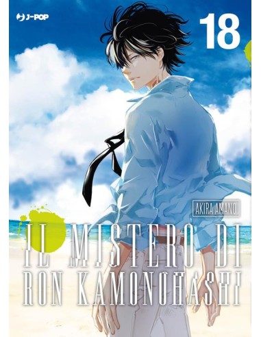 IL MISTERO DI RON KAMONOHASHI 18 (di 19)