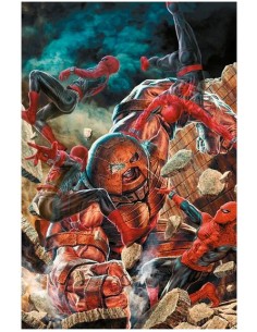 SPIDER-MAN 891 AMAZING VISIONS VARIANT DI LEE BERMEJO...