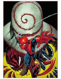 SPIDER-MAN 894 - AMAZING SPIDER-MAN 17