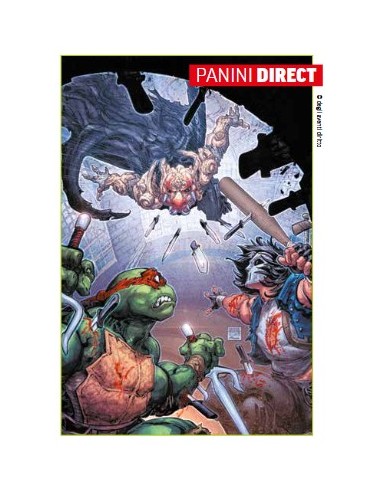 TEENAGE MUTANT NINJA TURTLES (2024) 17