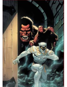 I DUNGEON DI DESTINO 2 (di 3) - MARVEL MINISERIE 298