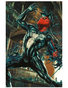 SPIDER-MAN 893 AMAZING VISIONS VARIANT DI LEE BERMEJO...