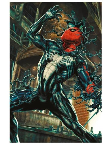 SPIDER-MAN 893 AMAZING VISIONS VARIANT DI LEE...