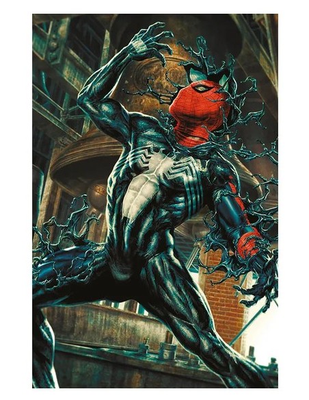 SPIDER-MAN 893 AMAZING VISIONS VARIANT DI LEE BERMEJO (N°12) - AMAZING SPIDER-MAN: DIVISI 1 (di 3)
