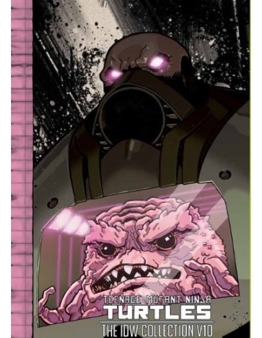 TEENAGE MUTANT NINJA TURTLES DELUXE VOL. 10