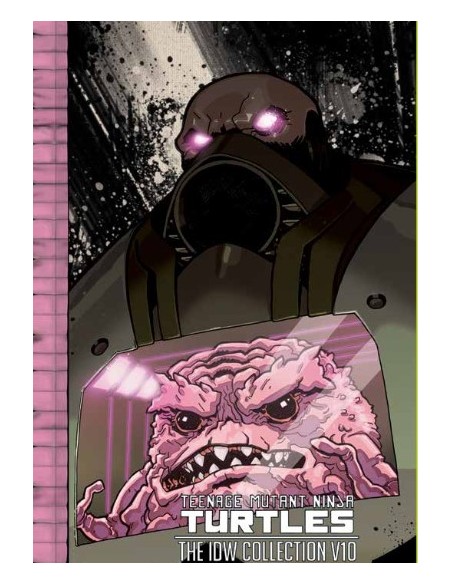 TEENAGE MUTANT NINJA TURTLES DELUXE VOL. 10