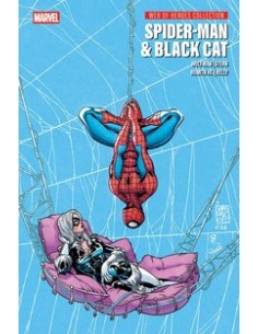 WEB OF HEROES COLLECTION SPIDER-MAN & BLACK CAT