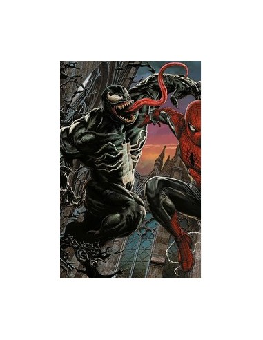 SPIDER-MAN 894 AMAZING VISIONS VARIANT DI LEE...